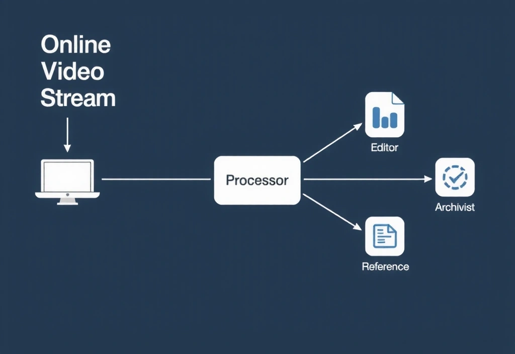 Process flow diagram from video source to final assets